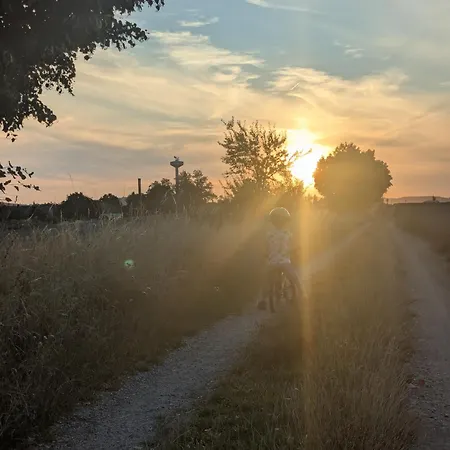 Questenberk * Jaromerice nad Rokytnou